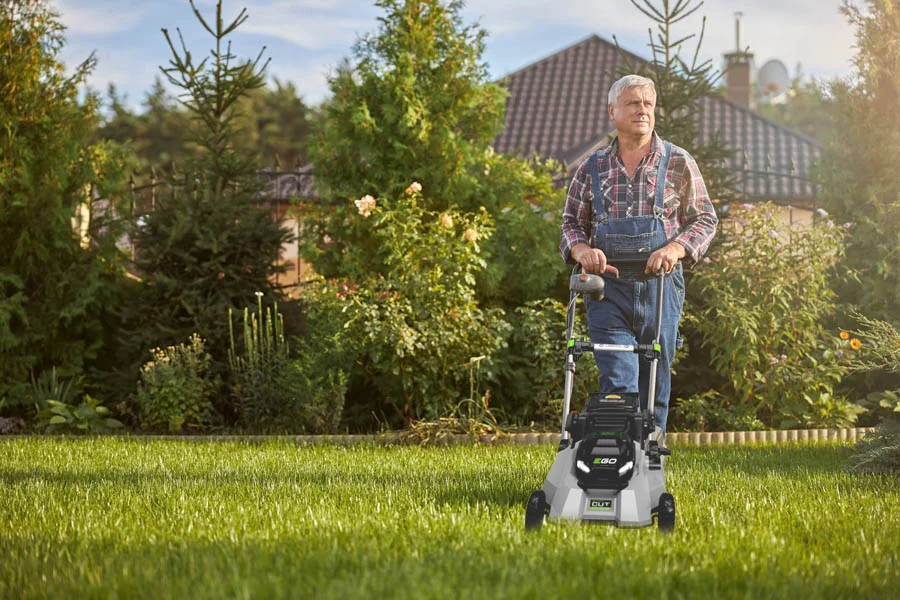 lawn mower for a small yard